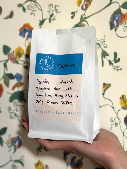 Filter Coffee Subscription